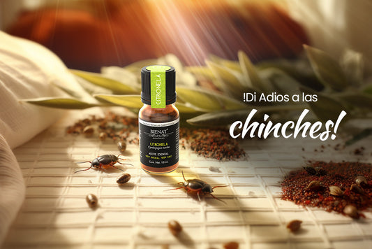 ¡Di adiós a las chinches! Descubre cómo hacerlo con aceites esenciales
