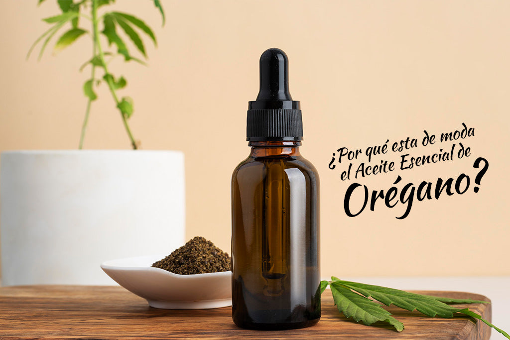 ¿Por qué esta de moda el Aceite Esencial de Orégano y el Carvacrol?