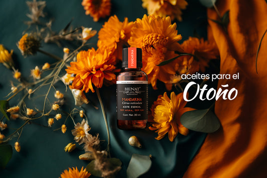 Bienvenido al Otoño: Los Mejores Aceites Esenciales para Disfrutar de la Temporada