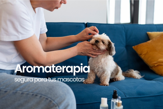 Relaja a tu mascota con aceites esenciales seguros y efectivos