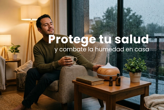 ¿Humedad o moho en casa? Conoce cómo desinfectar tu espacio y proteger tu salud en días de lluvia