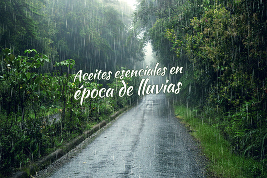 Aceites esenciales en época de lluvias