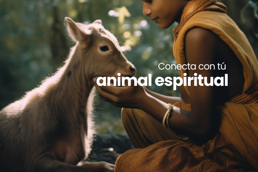 Cómo descubrir tu animal espiritual y conectar con él