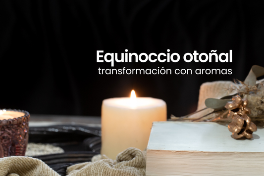Mezclas que atraen abundancia, calma y protección con aceites esenciales