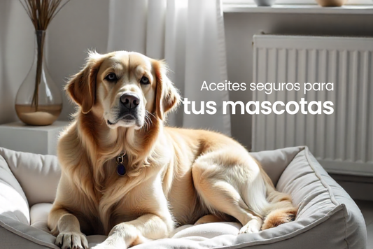 Aceites esenciales seguros para tus mascotas