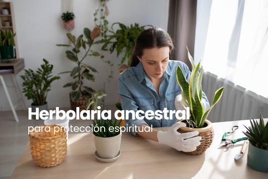 Plantas protectoras contra las malas vibras