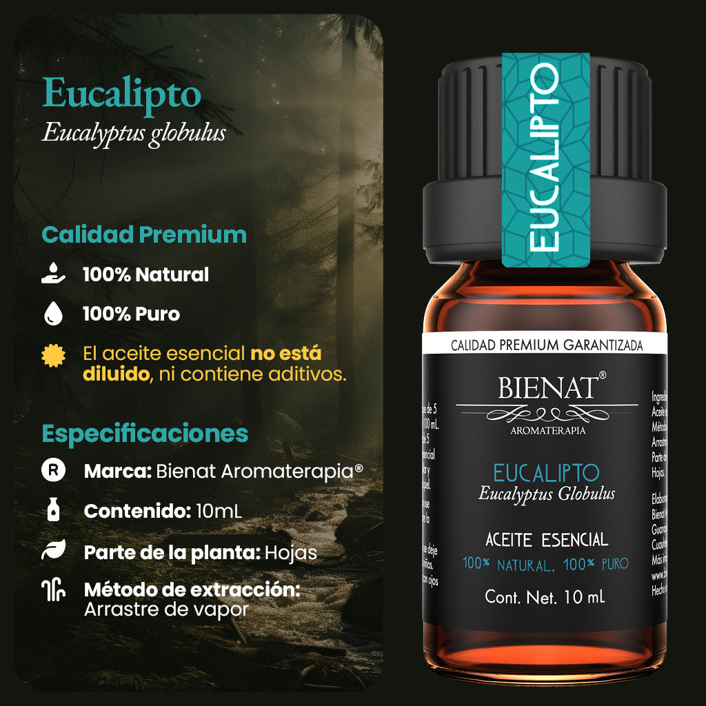 Aceite Esencial de Eucalipto Clásico