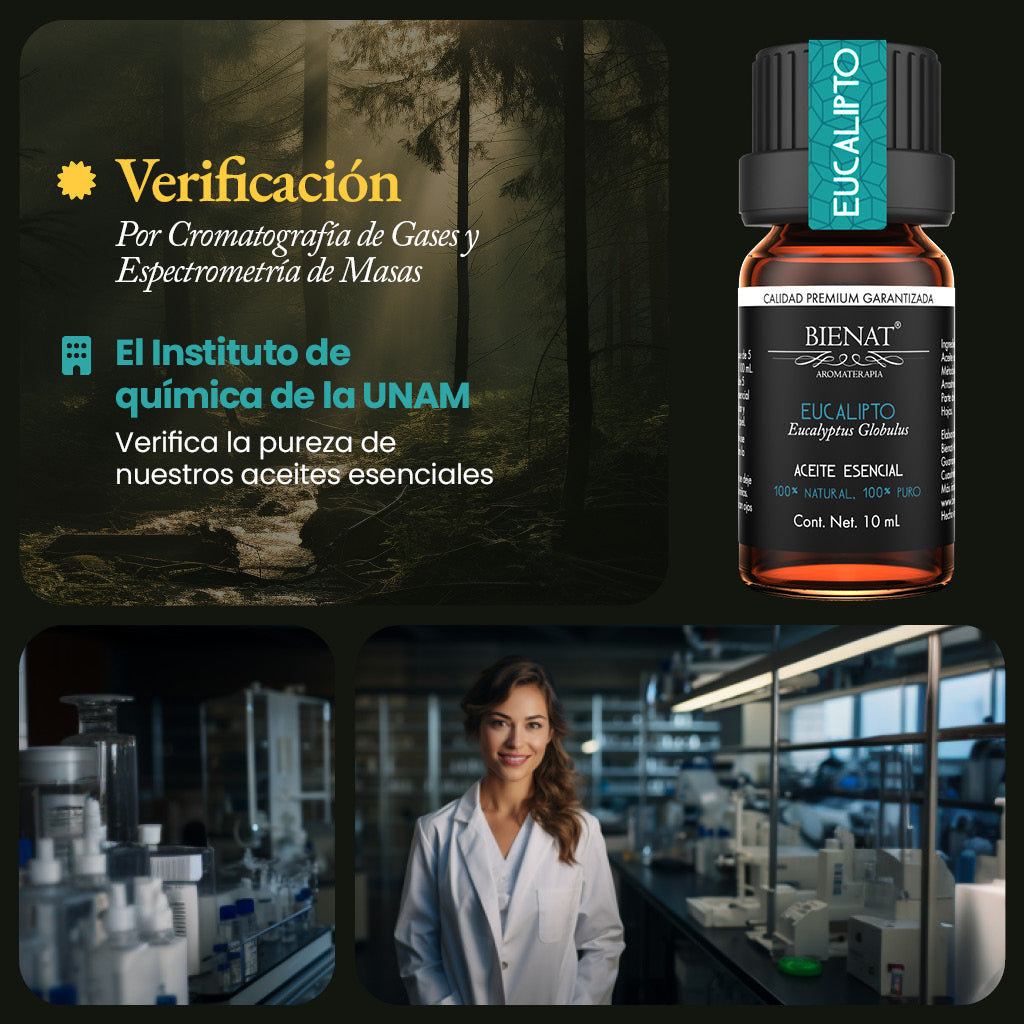 Aceite Esencial de Eucalipto Clásico