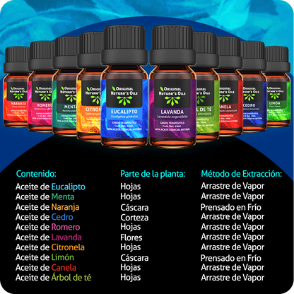 Kit Favoritos de 10 Aceites Esenciales Original Nature's Oils