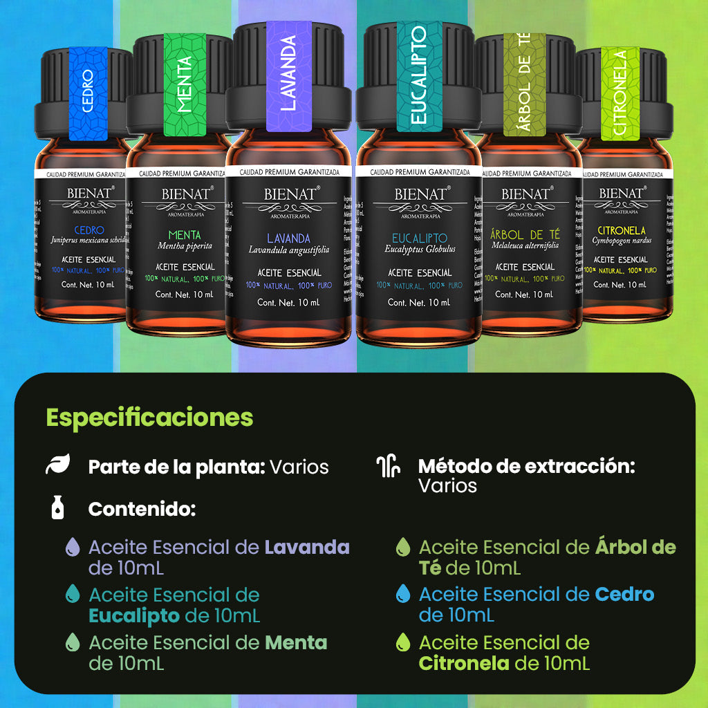 Kit De 6 Favoritos + Estuche de Tela