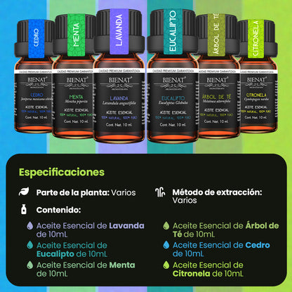 Kit De 6 Favoritos + Estuche de Tela