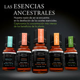 Kit De 5 Aceites Esenciales - Activación  Plus - Bienat Aromaterapia México