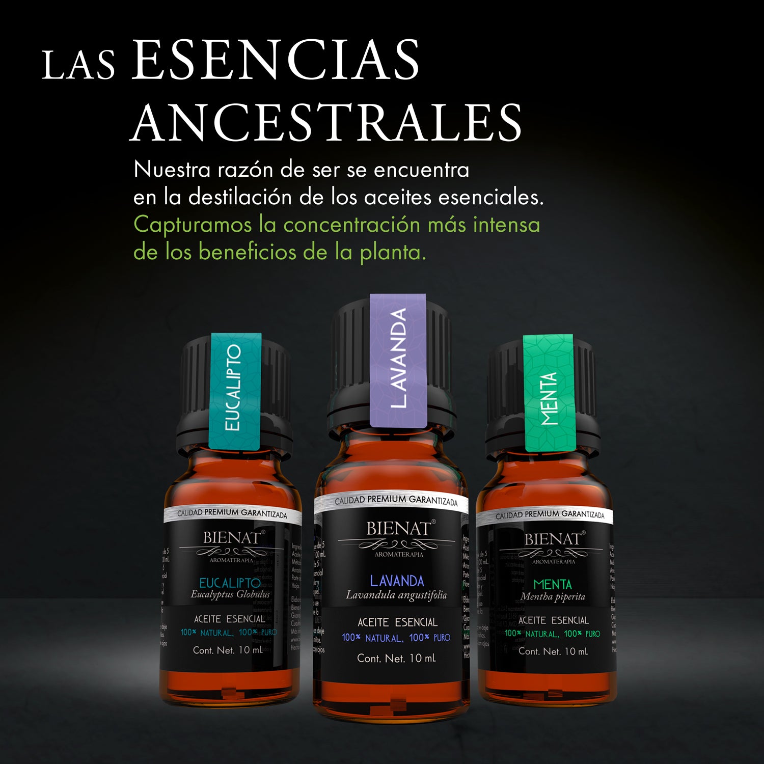 Kit de 3 Aceites Esenciales - Favoritos - Bienat Aromaterapia México