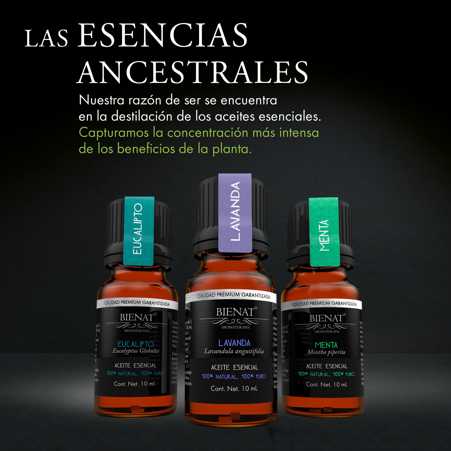 Kit Favoritos de 10 Aceites Esenciales Original Nature's Oils – Bienat  Aromaterapia México