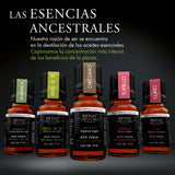 Kit De 5 Aceites Esenciales - Protección Plus - Bienat Aromaterapia México