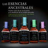 Kit De 5 Aceites Esenciales - Respiración Plus - Bienat Aromaterapia México