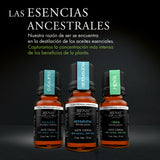 Kit de 3 Aceites Esenciales - Respiración - Bienat Aromaterapia México