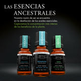 Kit de 3 Aceites Esenciales - Respiración - Bienat Aromaterapia México